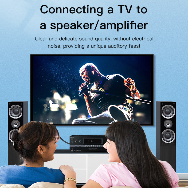 CHOSEAL RCA Cable Digital Coax - Home Cinema Installation ulasan dan harga